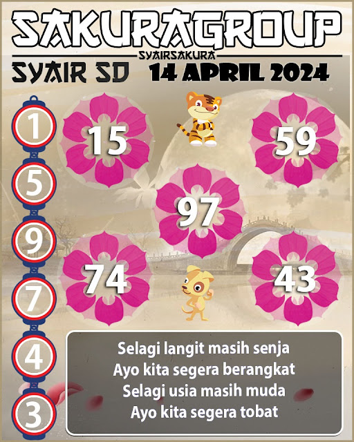 SYAIR SDY VIP